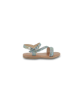 BELUGA