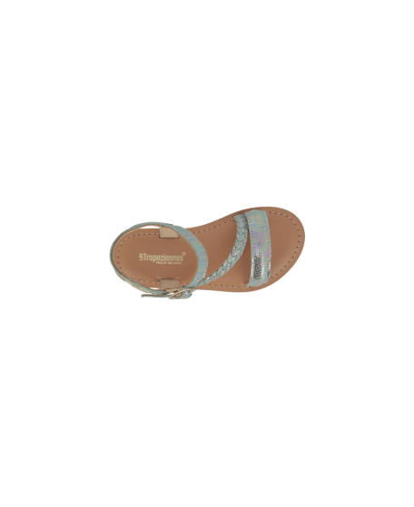 BELUGA