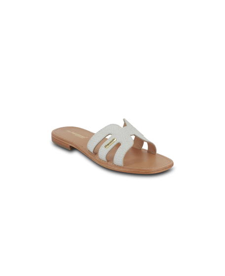 HADAMIA