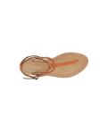 HAMADO