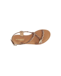 HOMONGO