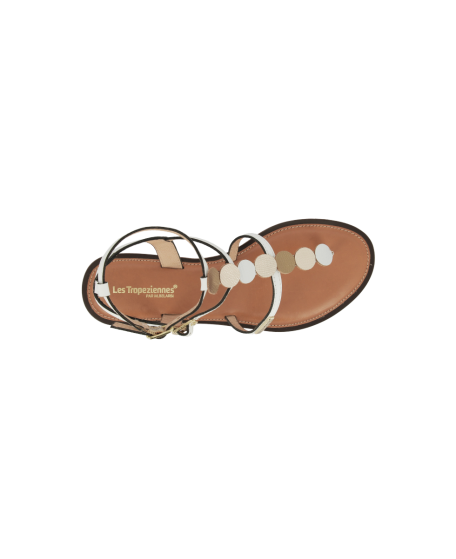 HORELIA