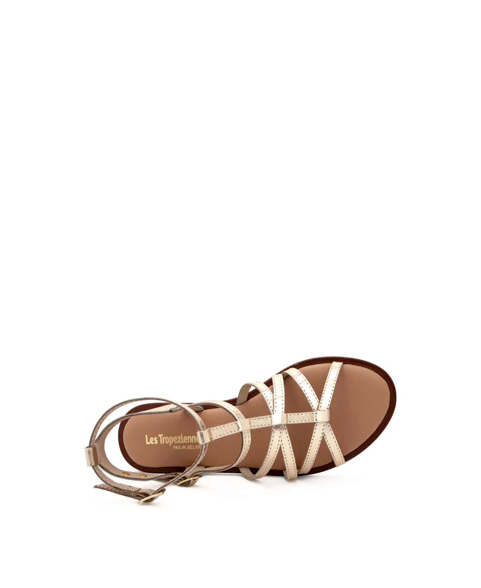 DUNETTA