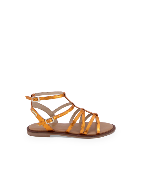 DUNETTA