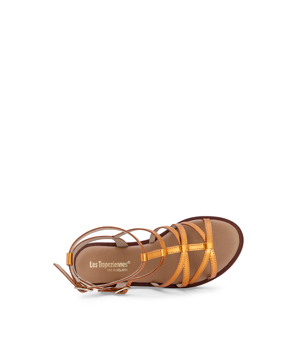 DUNETTA