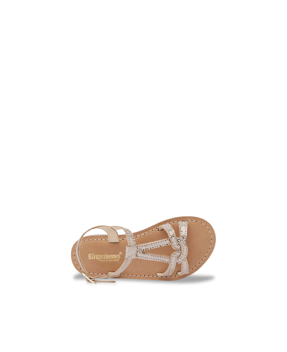 BACKLE