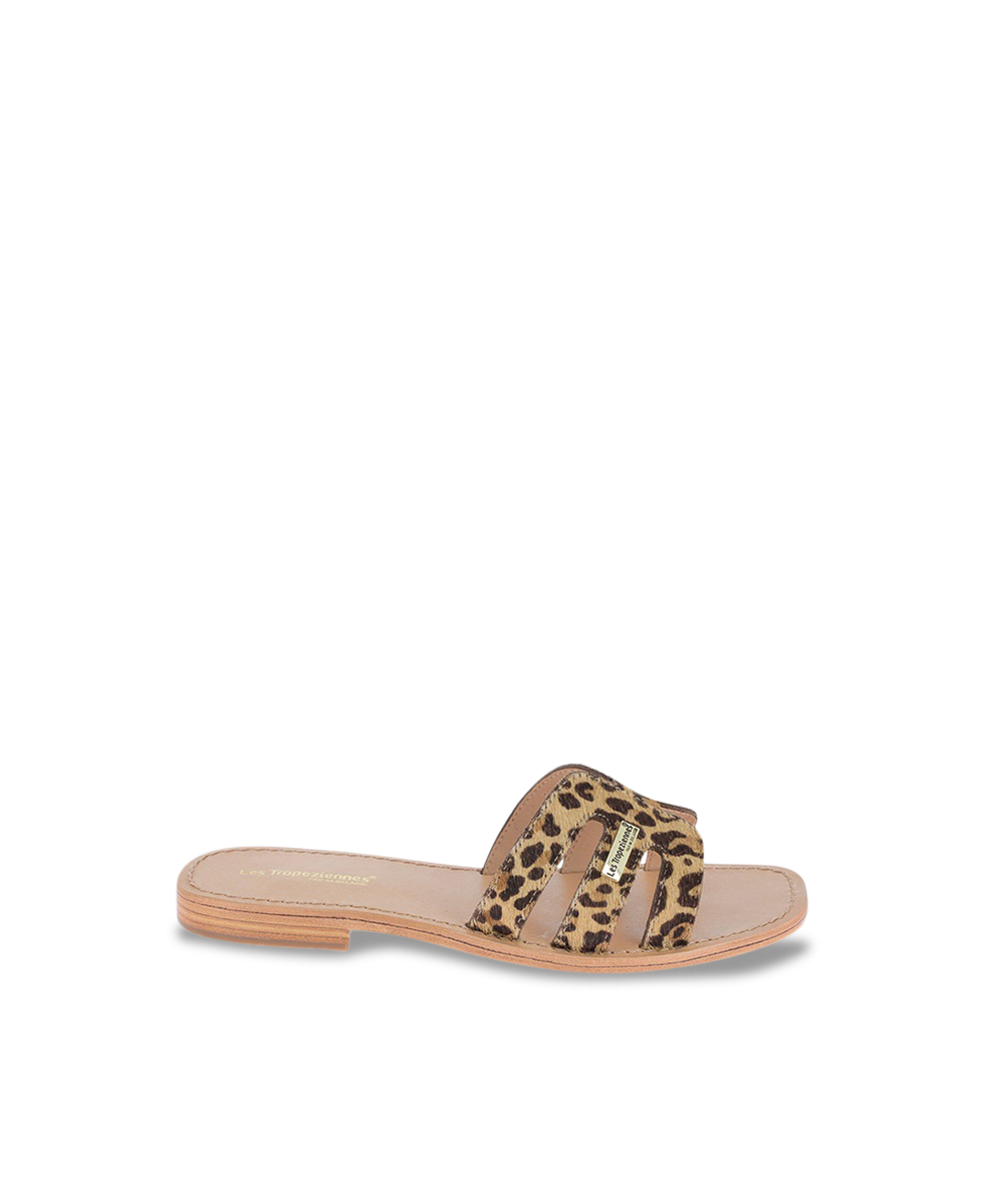 HADAMIA