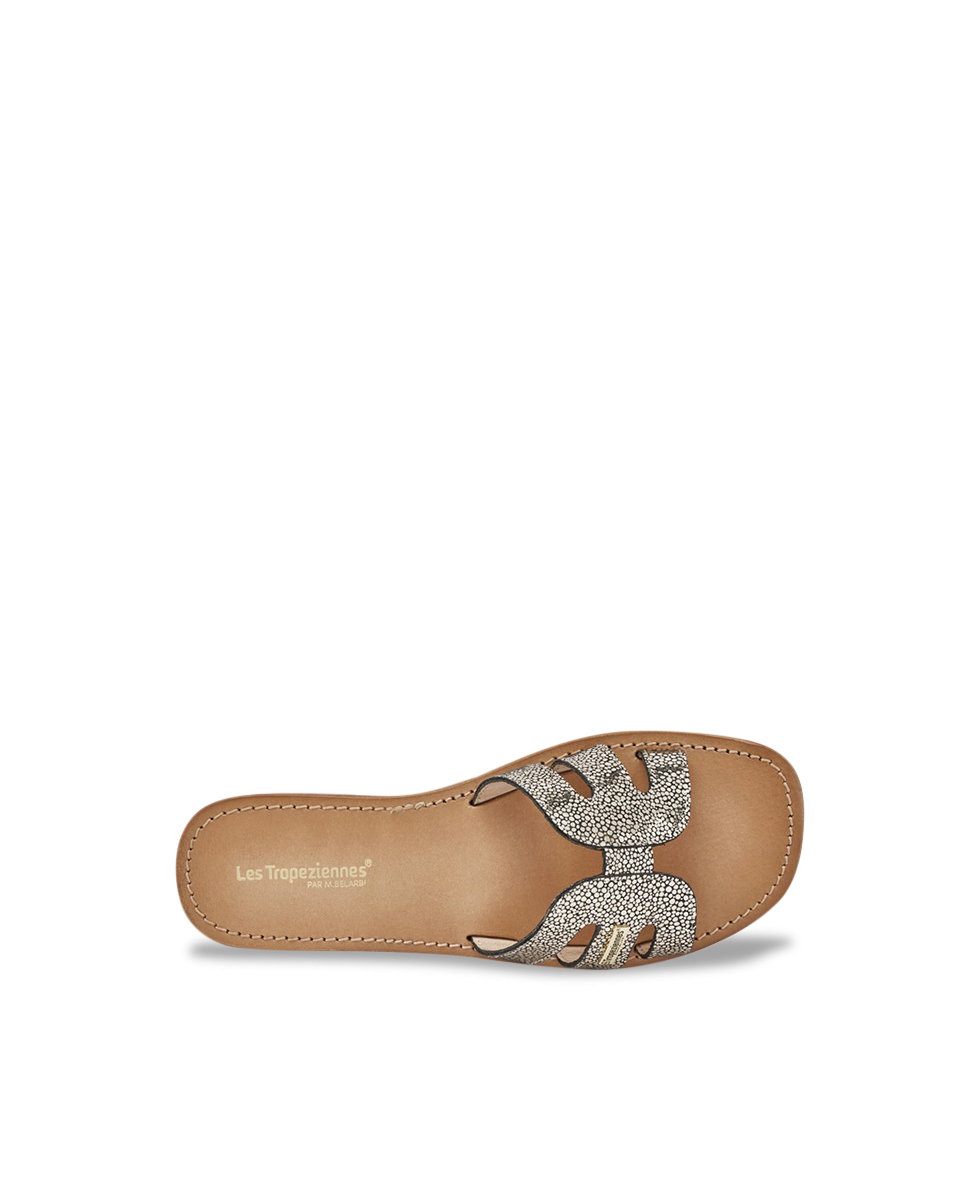 HADAMIA
