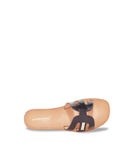 HADAMIA