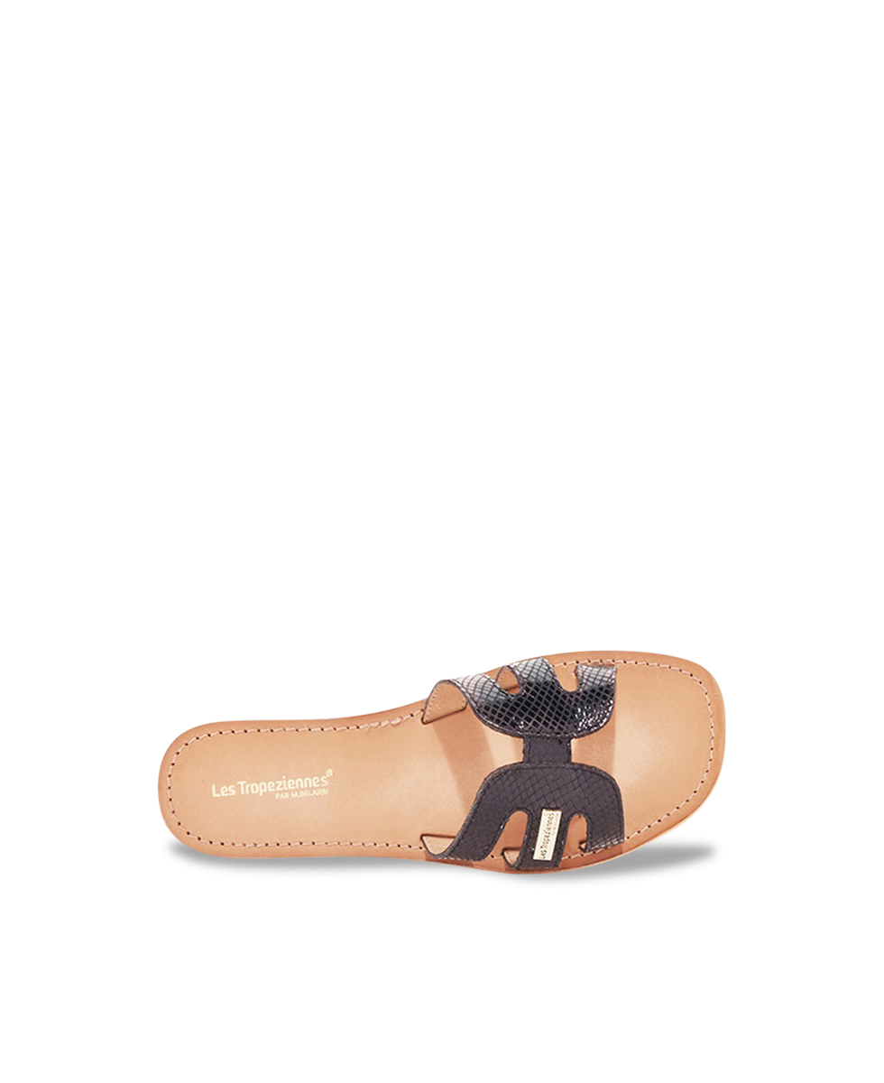 HADAMIA