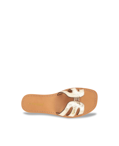 HADAMIA
