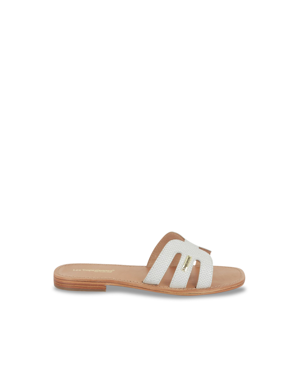 HADAMIA