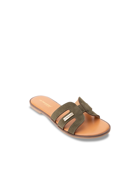 HAMIGA