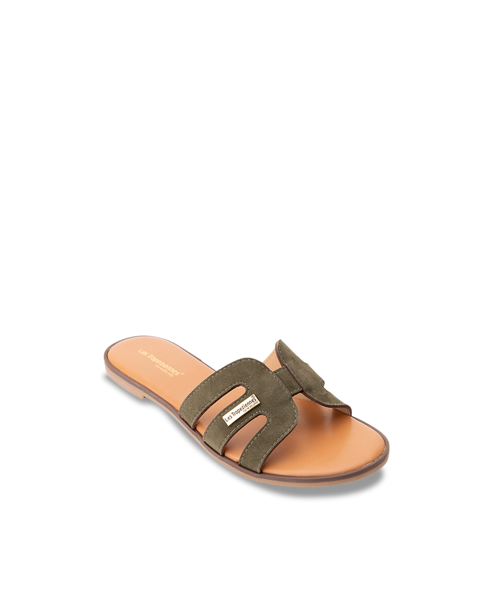 HAMIGA