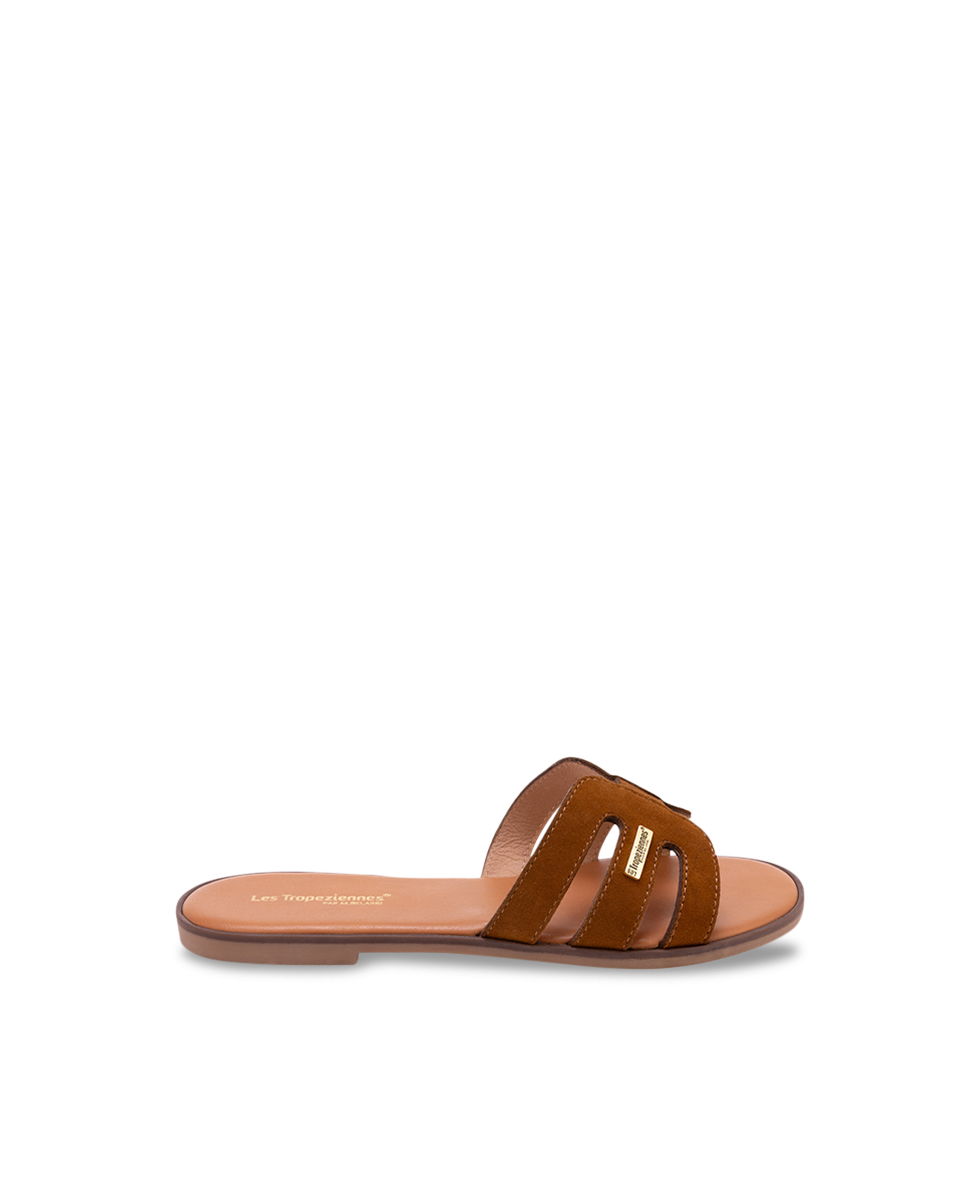 HAMIGA