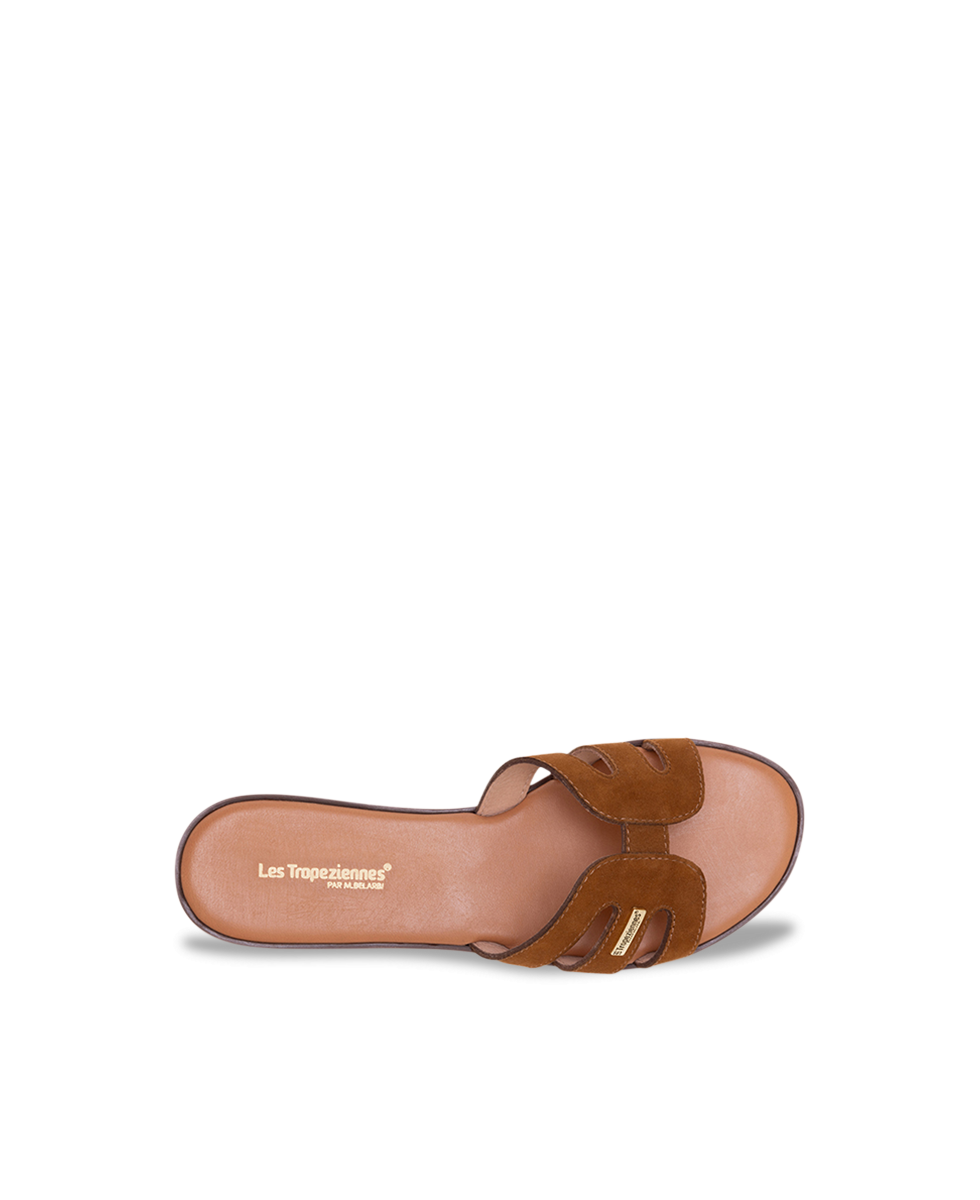 HAMIGA