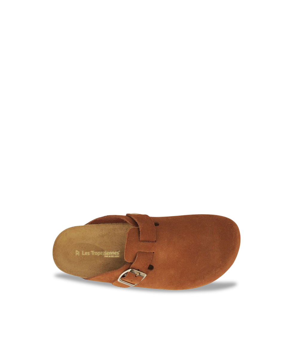 ZABOT