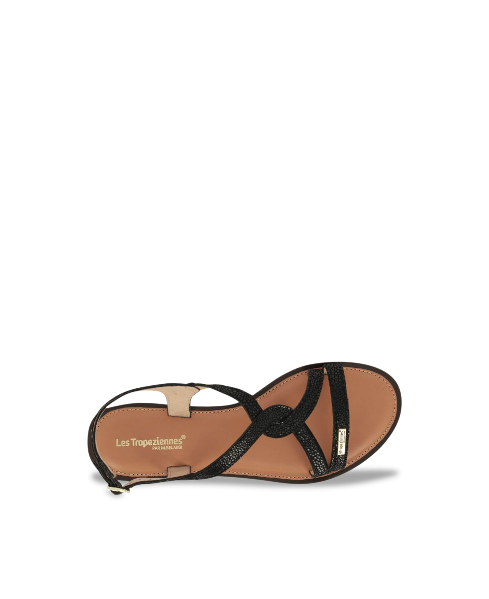 HASTRAL