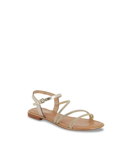 HOCTAVY