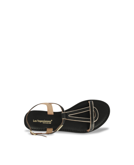 HAMATRIO