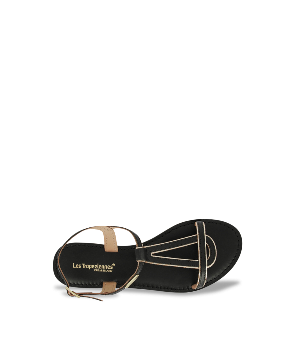 HAMATRIO