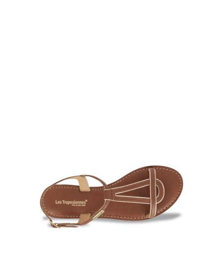 HAMATRIO