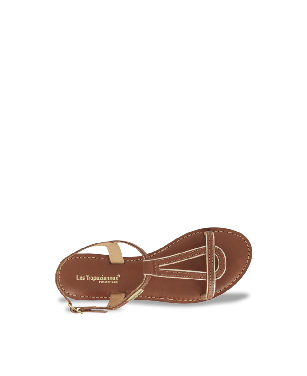 HAMATRIO