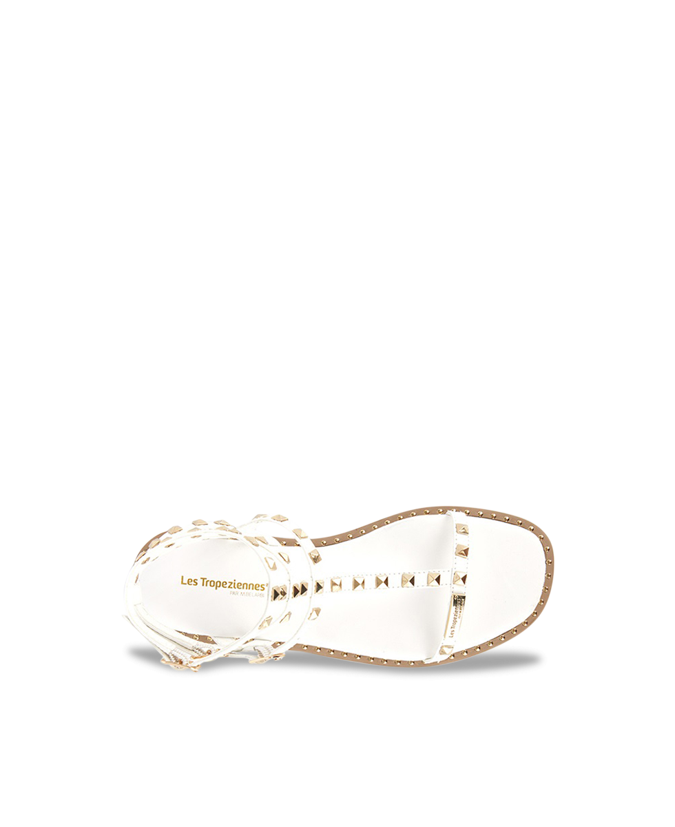 CORALIE