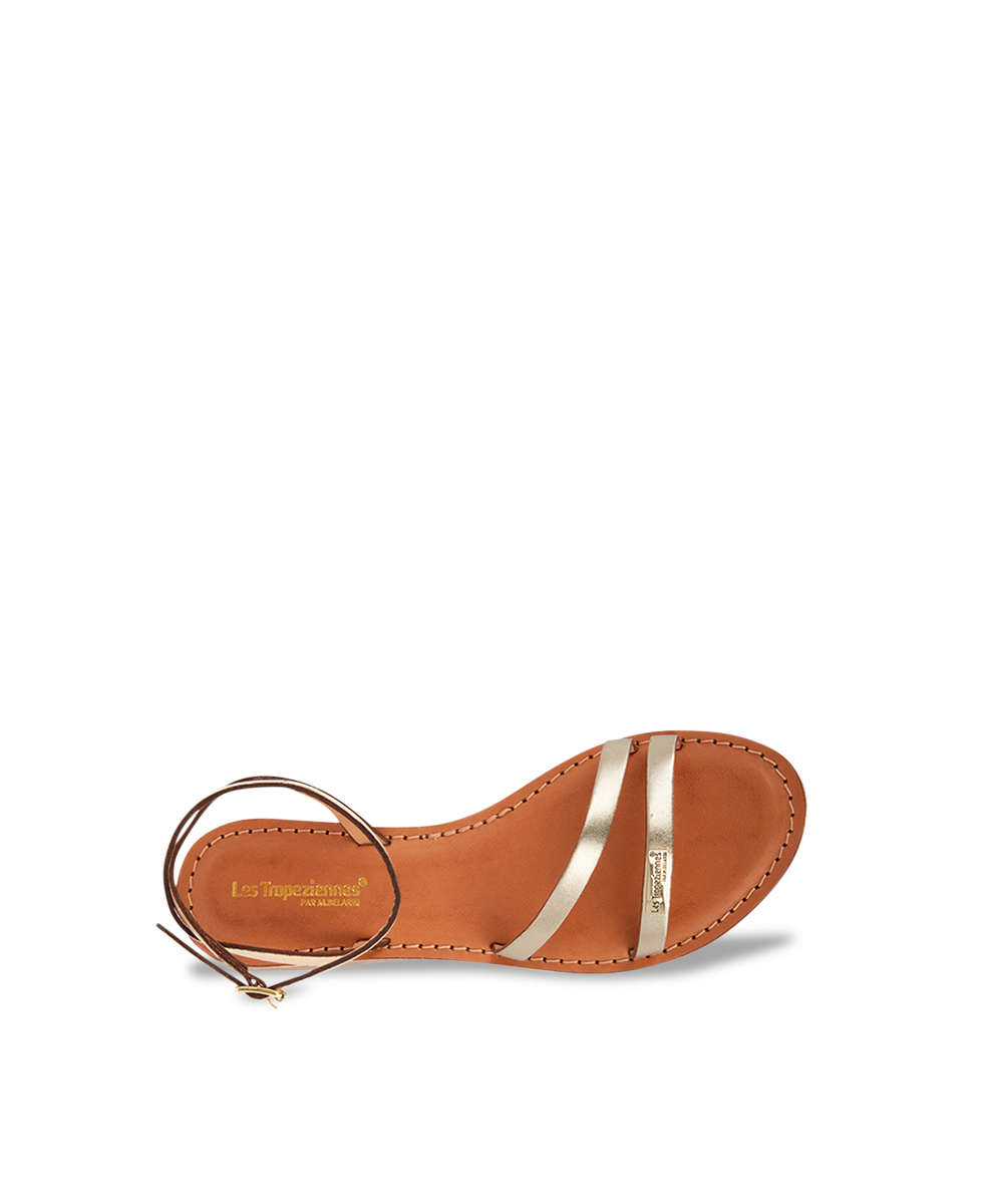 HANAK