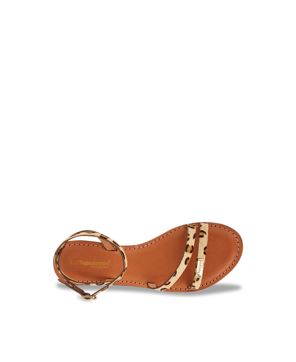 HANAK