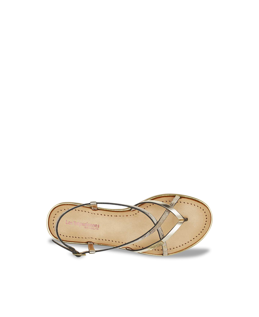 MONACODE