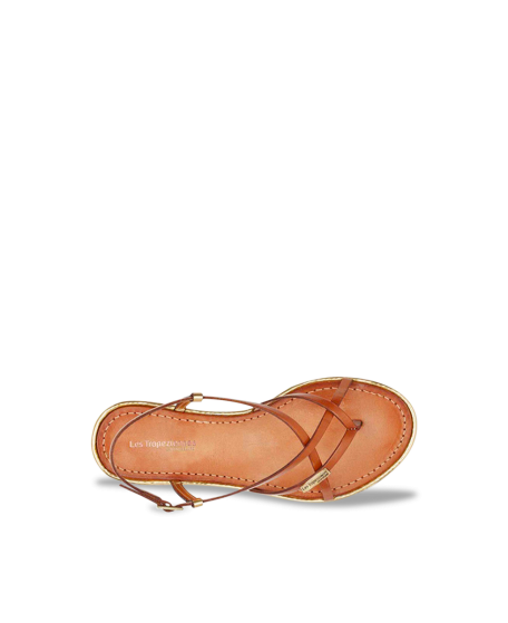 MONACODE