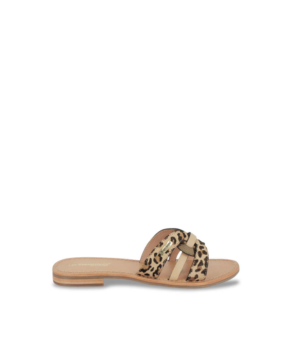 HAMSUKOPO