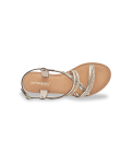 HOMONGO