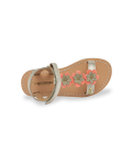 IBISCUS